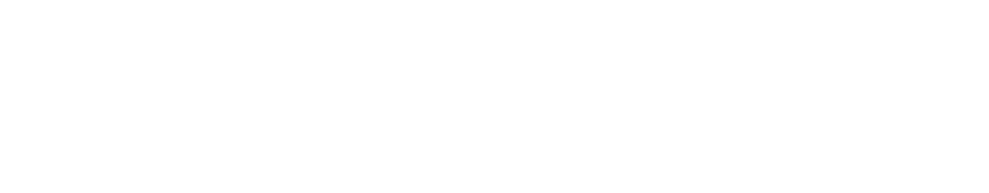 Toro SCS